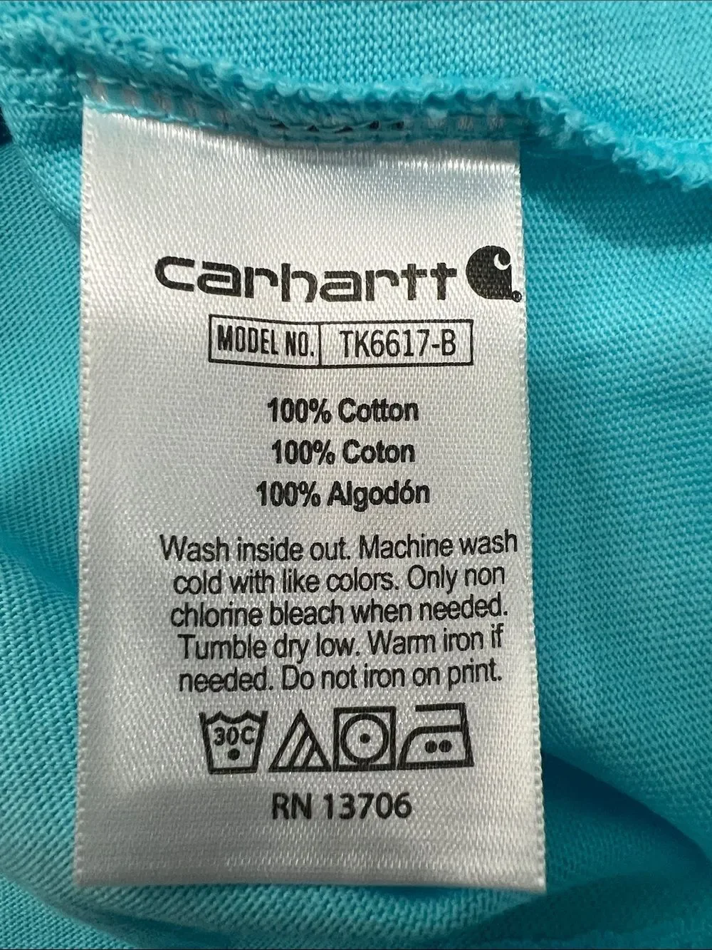 Carhartt blue pocket t-shirt with camping graphic on back